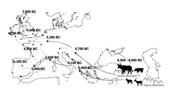 Carte cultures néolitiques.jpg