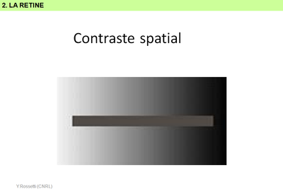 Dia038_codage spatial