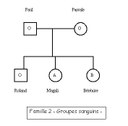 arbre généalogique de la famille 2