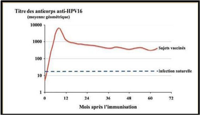 Persistance des anticorps anti-HPV16.jpg