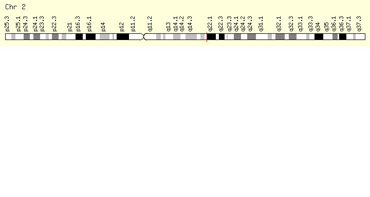 chromosome 2 mcm6.JPG