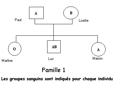 http://acces.ens-lyon.fr/acces/thematiques/evolution/logiciels/anagene/familles/famille1-ABO.bmp