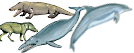 Icone-cetancodontes_(baleines).bmp