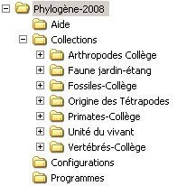 organisation-dossier-phylogene.jpg
