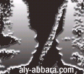 logo_aly_abbara_01.gif