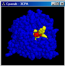 Enzyme en bleu, site catalytique en jaune, zinc en vert et substrat en rouge