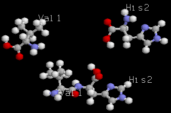 Valine et histidine et le dipeptide Val1-His2
