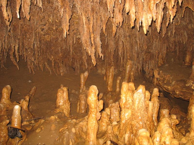 Stalactites et stalagmites . Photographie de Bernard Lips
