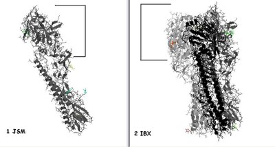 Copie de NB direct pr les 2.JPG