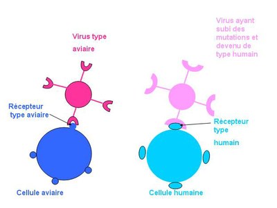 illustration deux.JPG