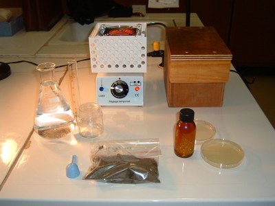 photo 01_2006-11-16 008.jpg