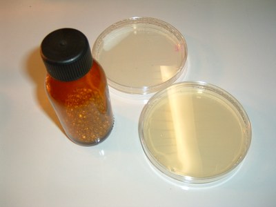 photo 02_2006-11-16 009.jpg