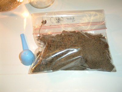 photo 03_2006-11-16 010.jpg