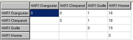 matrice-HAR1-Hominoïdes.jpg