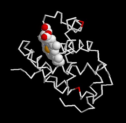 Localisation sites variables 3D.jpg