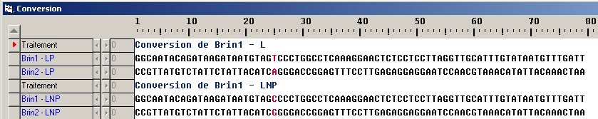 Comparaison LP-LNP.jpg