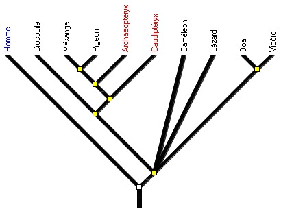 arbre_Diapsides_avec_fossiles.jpg