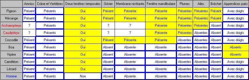 tableau_diapsides.jpg