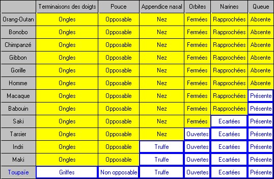 Matrice référence Primates