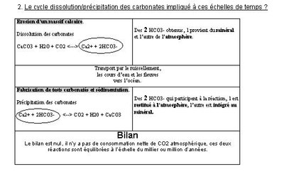 cycle carbone 1.JPG