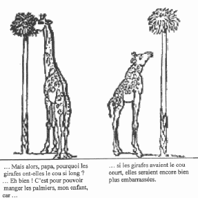 girafe2.gif