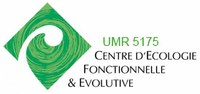 Logo_CNRS_CEF.jpg