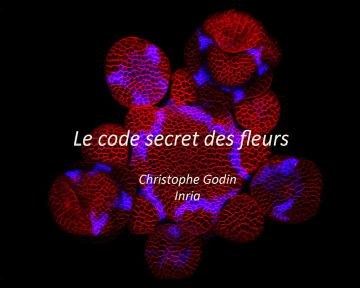 christophe_godin_01.jpg