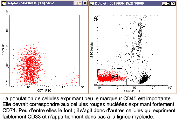 cd71cd33cas2.gif