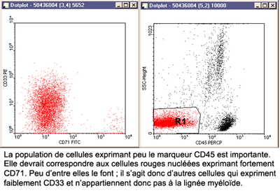cd71cd33cas2b.gif
