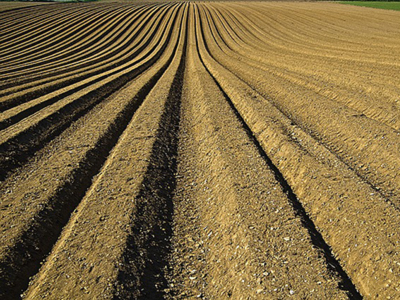 Les sols et les nouveaux enjeux de l'agriculture