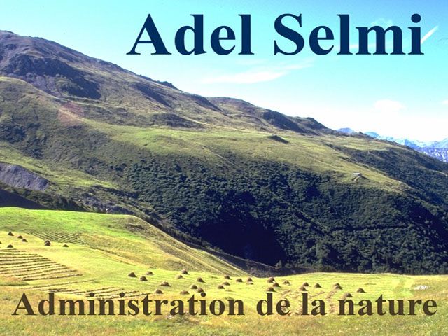 Adel_Selmi.jpg