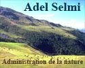 Adel_Selmi.jpg