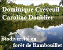 Rambouillet.jpg