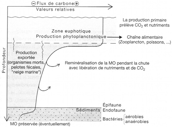 cycle-mo