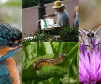 Regards et débats sur la biodiversité