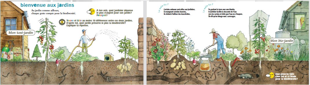 Comparaison jardins avec et sans pesticides
