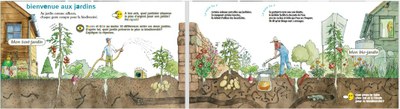 Comparaison jardins avec et sans pesticides
