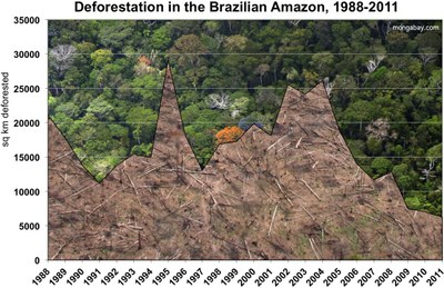 Déforestation des forêts amazoniennes