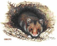 Classe de 2de: L’Homme protège la biodiversité des sols: exemple du grand Hamster d’Alsace