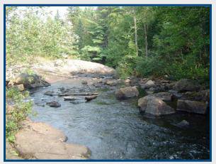 cours deaubonnequalite.jpg