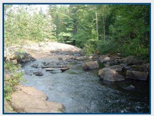 cours deaubonnequalite.jpg