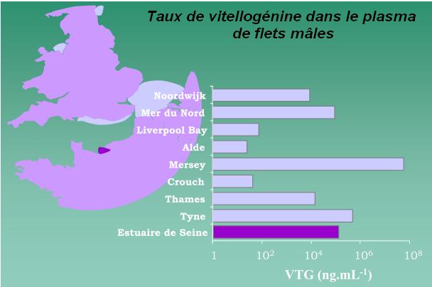 graphe taux vitellogenine.jpg