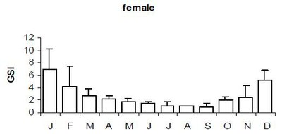 ind dev gonadique female.jpg