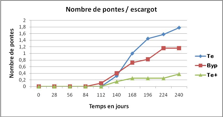pontes escargots.jpg