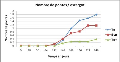 pontes escargots.jpg