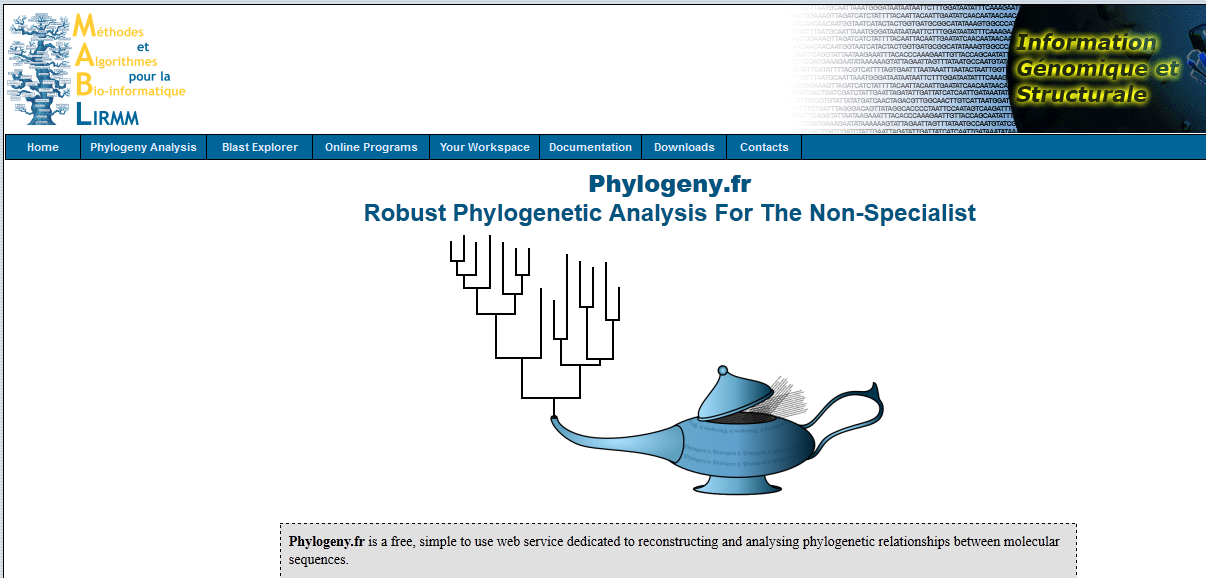 écran d'accueil du site phylogent.fr