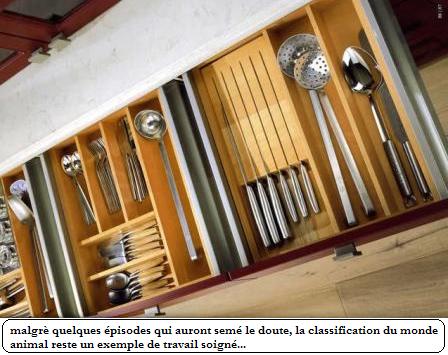 tiroir bien range_reduit_modif.JPG