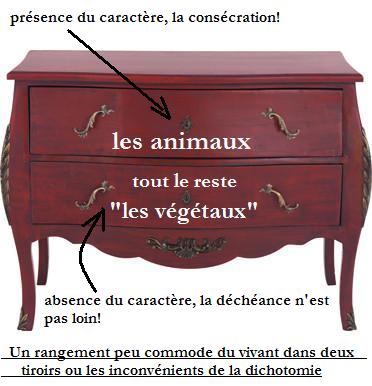 un meuble du vivant a 2 tiroirs.JPG