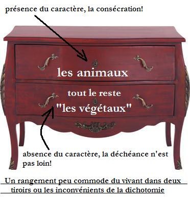 un meuble du vivant a 2 tiroirs.JPG