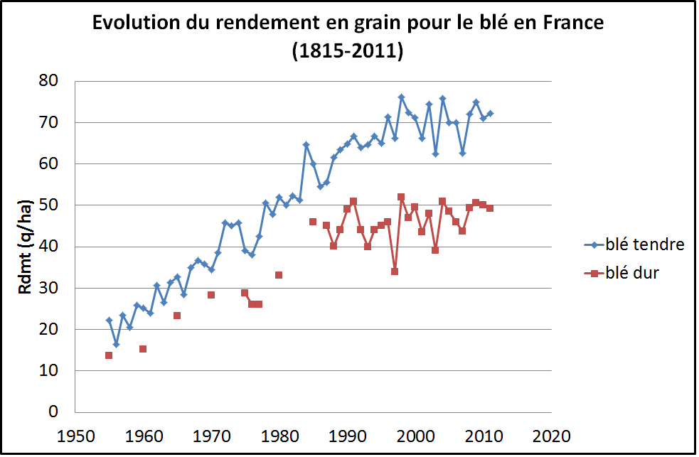 évolution du rendement en grains pour les blés dur et tendre 1950-2010